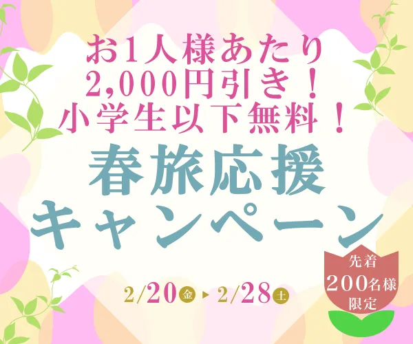 春セールプラン